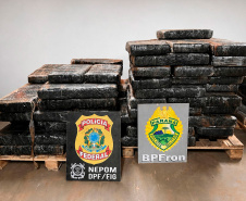PMPR apreende mais de 5 toneladas de maconha em operações no Oeste