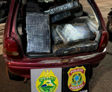 PMPR apreende mais de 5 toneladas de maconha em operações no Oeste