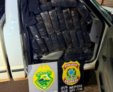PMPR apreende mais de 5 toneladas de maconha em operações no Oeste