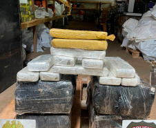 PMPR apreende mais de 5 toneladas de maconha em operações no Oeste