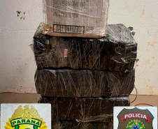 PMPR apreende mais de 5 toneladas de maconha em operações no Oeste