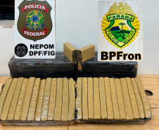 PMPR apreende mais de 5 toneladas de maconha em operações no Oeste