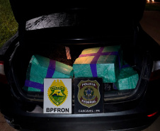 PMPR apreende mais de 5 toneladas de maconha em operações no Oeste