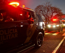 Operação integrada apreende 4,6 toneladas de maconha e reforça combate ao crime no Paraná