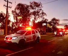 Operação integrada apreende 4,6 toneladas de maconha e reforça combate ao crime no Paraná