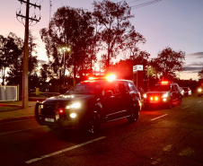 Operação integrada apreende 4,6 toneladas de maconha e reforça combate ao crime no Paraná