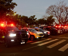 Operação integrada apreende 4,6 toneladas de maconha e reforça combate ao crime no Paraná