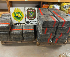 PMPR apreende 1,6 tonelada de maconha; prejuízo ao crime passa de R$ 3,3 milhões