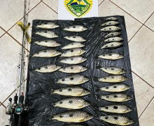 PMPR prende dois homens por pesca irregular no Rio Paraná, em Icaraíma