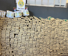 Apreensões de maconha crescem 228% em dez anos na região de fronteira do Paraná