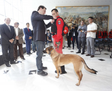 O governador Carlos Massa Ratinho Junior homenageou, nesta segunda-feira (1/4) bombeiros do Estado e profissionais de outras áreas enviados pelo Paraná para apoio aos trabalhos em Brumadinho (MG), após o rompimento da barragem da Mina do Feijão. Curitiba, 01-04-19.Foto: Arnaldo Alves / ANPr.