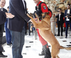 O governador Carlos Massa Ratinho Junior homenageou, nesta segunda-feira (1/4) bombeiros do Estado e profissionais de outras áreas enviados pelo Paraná para apoio aos trabalhos em Brumadinho (MG), após o rompimento da barragem da Mina do Feijão. Curitiba, 01-04-19.Foto: Arnaldo Alves / ANPr.