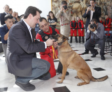 O governador Carlos Massa Ratinho Junior homenageou, nesta segunda-feira (1/4) bombeiros do Estado e profissionais de outras áreas enviados pelo Paraná para apoio aos trabalhos em Brumadinho (MG), após o rompimento da barragem da Mina do Feijão. Curitiba, 01-04-19.Foto: Arnaldo Alves / ANPr.