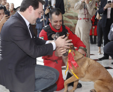 O governador Carlos Massa Ratinho Junior homenageou, nesta segunda-feira (1/4) bombeiros do Estado e profissionais de outras áreas enviados pelo Paraná para apoio aos trabalhos em Brumadinho (MG), após o rompimento da barragem da Mina do Feijão. Curitiba, 01-04-19.Foto: Arnaldo Alves / ANPr.