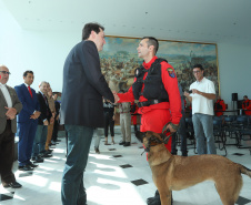 O governador Carlos Massa Ratinho Junior entregou nesta segunda-feira (1º) medalhas de mérito às equipes do Corpo de Bombeiros, Polícia Militar, Polícia Científica e Defesa Civil que ajudaram nas operações de busca e salvamento em Brumadinho, Minas Gerais. - Curitiba, 01-04-19.  -  Foto: Rodrigo Félix Leal/ANPr