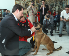 O governador Carlos Massa Ratinho Junior entregou nesta segunda-feira (1º) medalhas de mérito às equipes do Corpo de Bombeiros, Polícia Militar, Polícia Científica e Defesa Civil que ajudaram nas operações de busca e salvamento em Brumadinho, Minas Gerais. - Curitiba, 01-04-19.  -  Foto: Rodrigo Félix Leal/ANPr