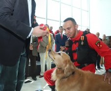 O governador Carlos Massa Ratinho Junior entregou nesta segunda-feira (1º) medalhas de mérito às equipes do Corpo de Bombeiros, Polícia Militar, Polícia Científica e Defesa Civil que ajudaram nas operações de busca e salvamento em Brumadinho, Minas Gerais. - Curitiba, 01-04-19.  -  Foto: Rodrigo Félix Leal/ANPr