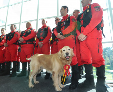 O governador Carlos Massa Ratinho Junior entregou nesta segunda-feira (1º) medalhas de mérito às equipes do Corpo de Bombeiros, Polícia Militar, Polícia Científica e Defesa Civil que ajudaram nas operações de busca e salvamento em Brumadinho, Minas Gerais. - Curitiba, 01-04-19.  -  Foto: Rodrigo Félix Leal/ANPr