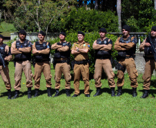 São José dos Pinhais, 30 de março de 2019. Exercício de APH Tático - 17º BPM