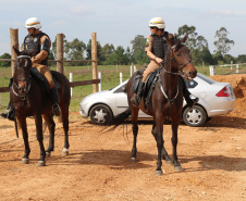 Pinhais, 05 de Abril de 2019. Inauguração Haras Palmital.