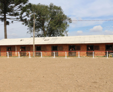 Pinhais, 05 de Abril de 2019. Inauguração Haras Palmital.