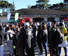Curitiba, 07 de julho de 2019. 9ª Corrida em Comemoração ao Aniversário da RONE
