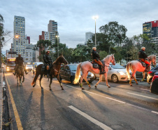 A Polícia Militar do Paraná (PM-PR) iniciou uma mega-operação (Operação 100) em Curitiba  e Região Metropolitana nesta sexta-feira (2). São 165 viaturas, 550 policiais militares de todos os batalhões espalhados pelos municípios com auxílio de motocicletas, cães, cavalos e helicóptero.  Curitiba, 02/08/2019 -  Foto: Geraldo Bubniak/ANPr