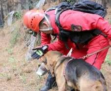 Uma busca que exige mergulhos em locais profundos, salvamento em áreas remotas ou em montanhas, resgate a pessoas soterradas. Estes são alguns exemplos de situações extremas que exigem uma atuação especializada do Corpo de Bombeiros. No Paraná, os profissionais passam por treinamentos especiais que os preparam para agir de forma rápida e eficiente sempre que precisam atender situações complexas, muito além do combate a incêndios. 