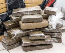 Curitiba, 02 de semtembro de 2019.  Flagrante de Tráfico de Drogas - BOPE