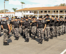 Curitiba, 27 de setembro de 2019.  Operação 1º CRPM.