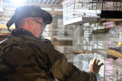 Operação da PM combate tráfico e comércio de aves silvestres