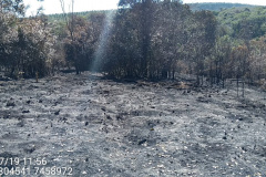 Batalhão Ambiental da PM faz maior autuação, em única ocorrência, dos últimos anos; multa passa dos R$ 2 milhões