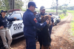PCPR realiza seminário internacional com cães de busca em Pato Branco
