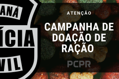 PCPR lança campanha para arrecadar rações para cães e gatos 