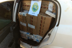  Em situações distintas, mais de 156 quilos de drogas são apreendidos pela PM no Centro-Sul do estado 