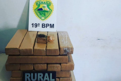  Durante abordagem, PM apreende mais de 25 quilos de maconha em Toledo (PR) 