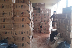 10 pessoas são encaminhadas e mais de 400 caixas de cigarro contrabandeado são apreendidas em situações distintas no Norte Pioneiro do Paraná