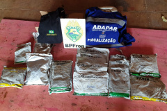 PM participa da “Operação Westicida” e aplica mais de R$ 1 milhão em multas