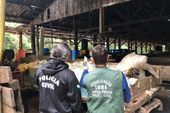 PCPR autua suspeito por manter abate clandestino na RMC