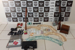 PCPR, PMPR E PF cumprem operação na região Sudoeste