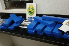 Mulher é presa pela PM transportando quase 20 quilos de maconha na Rodoviária de Londrina (PR)