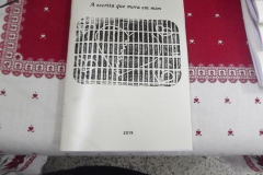 Detentas da Penitenciária Feminina participam de projeto de produção de Haicais