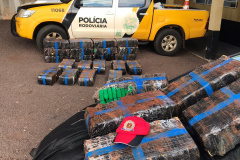 BPRv apreende mais 400 quilos de maconha, recupera carro e prende homem no Oeste do estado