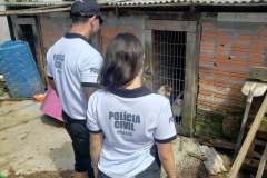 PCPR fiscaliza maus tratos a animais em Guaratuba