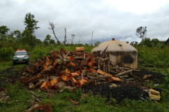 Homem recebe multa de R$ 90 mil por infração ambiental, em Pinhão, no interior do estado
