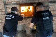 PCPR incinera 107 quilos de drogas em Pato Branco