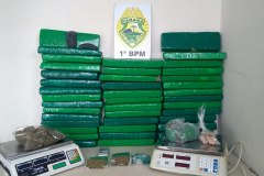 Em Ponta Grossa (PR) PM apreende mais de 52 quilos de drogas com o apoio de cão de faro