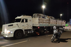 Em São Miguel do Iguaçu (PR), PM apreende quase uma tonelada de maconha