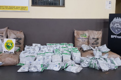 BPFron apreende diversos produtos contrabandeados no Oeste do estado; prejuízo aos contrabandistas é de mais de R$ 1,5 milhão