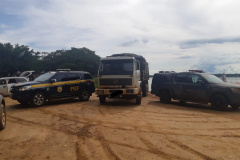 Mais de 17 mil pacotes de cigarros contrabandeados são apreendidos pela PM durante Operação Hórus, em Querência do Norte(PR)